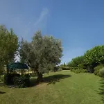 Vigna Sant' Amico *