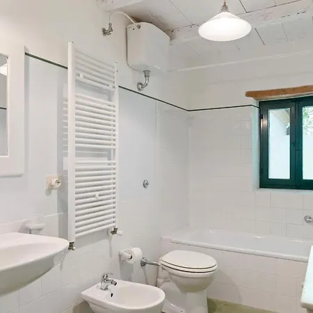 Vigna Sant' Amico Morro dʼAlba