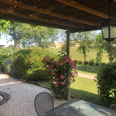 Vigna Sant' Amico * Morro dʼAlba